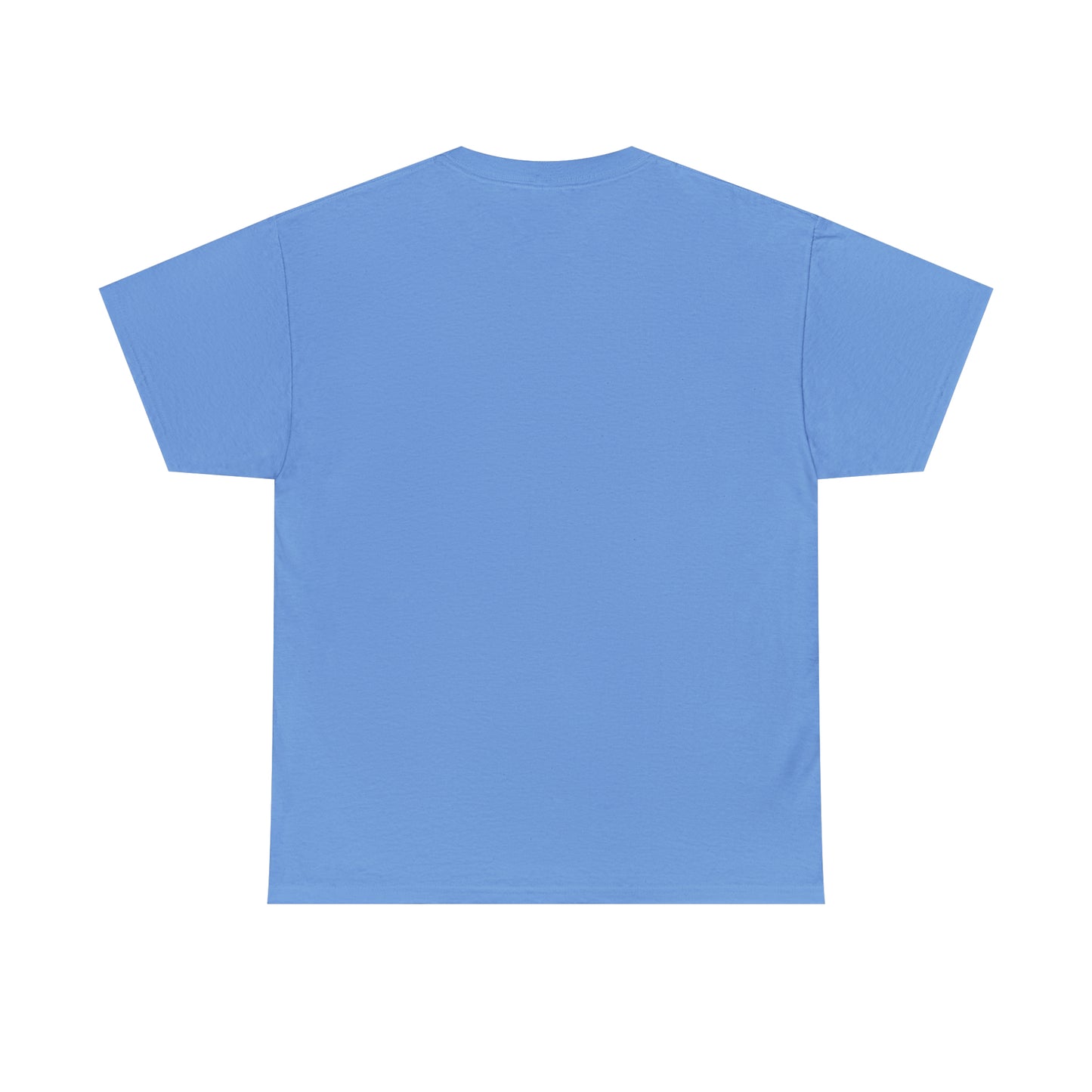 Roaming turtle 365. Unisex Heavy Cotton Tee