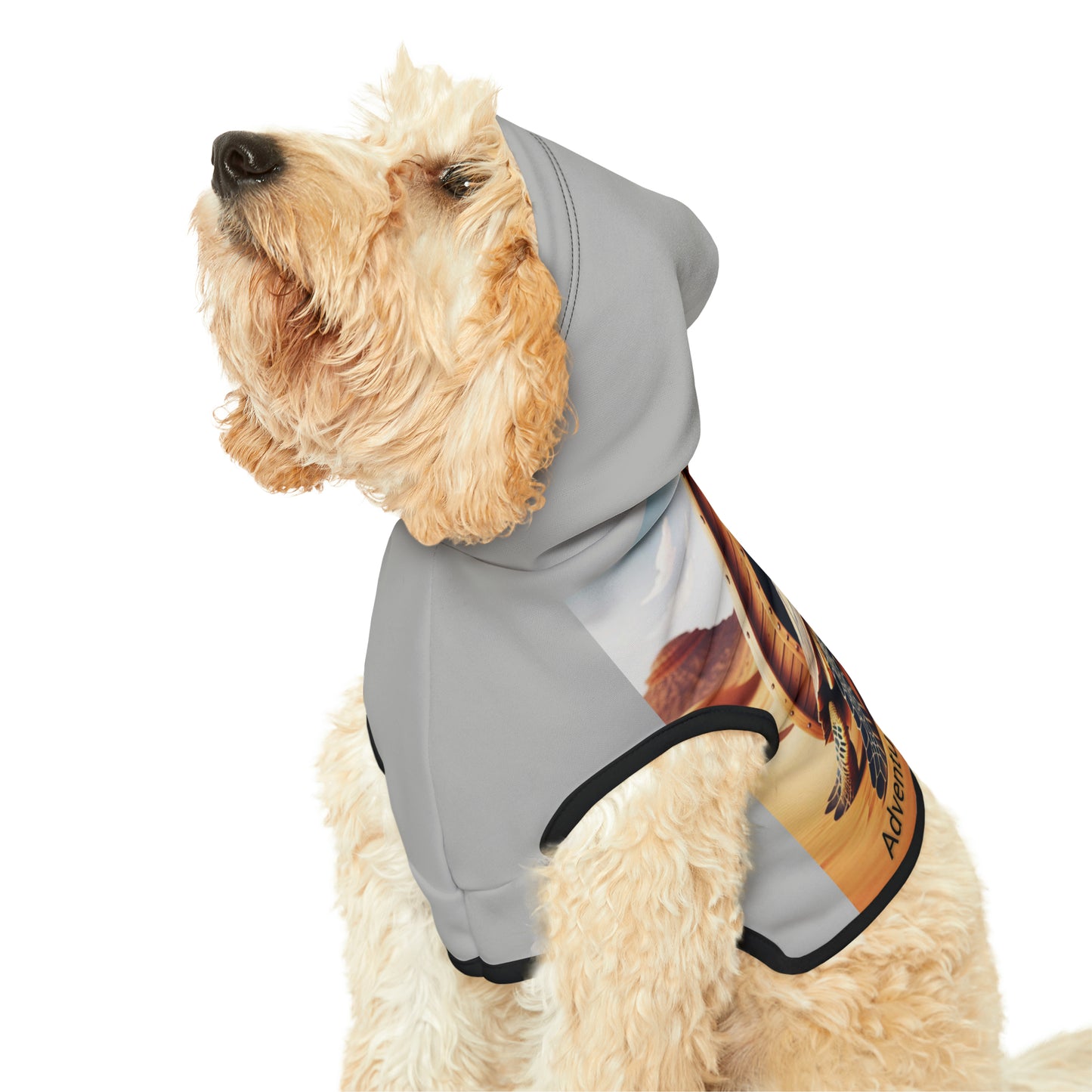 Pet Hoodie