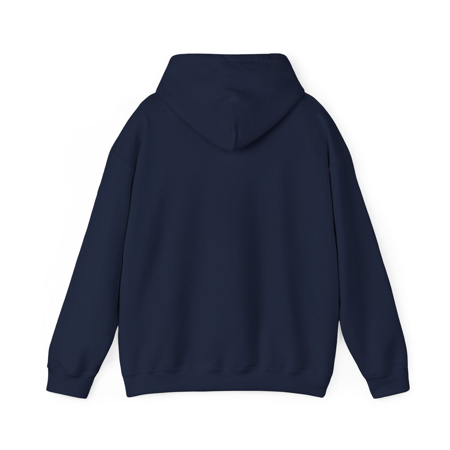 Funny "Shhh No One Cares" Hoodie, Sarcastic Gift for Teens and Adults, Unisex Sweatshirt, Long Sleeve Pullover