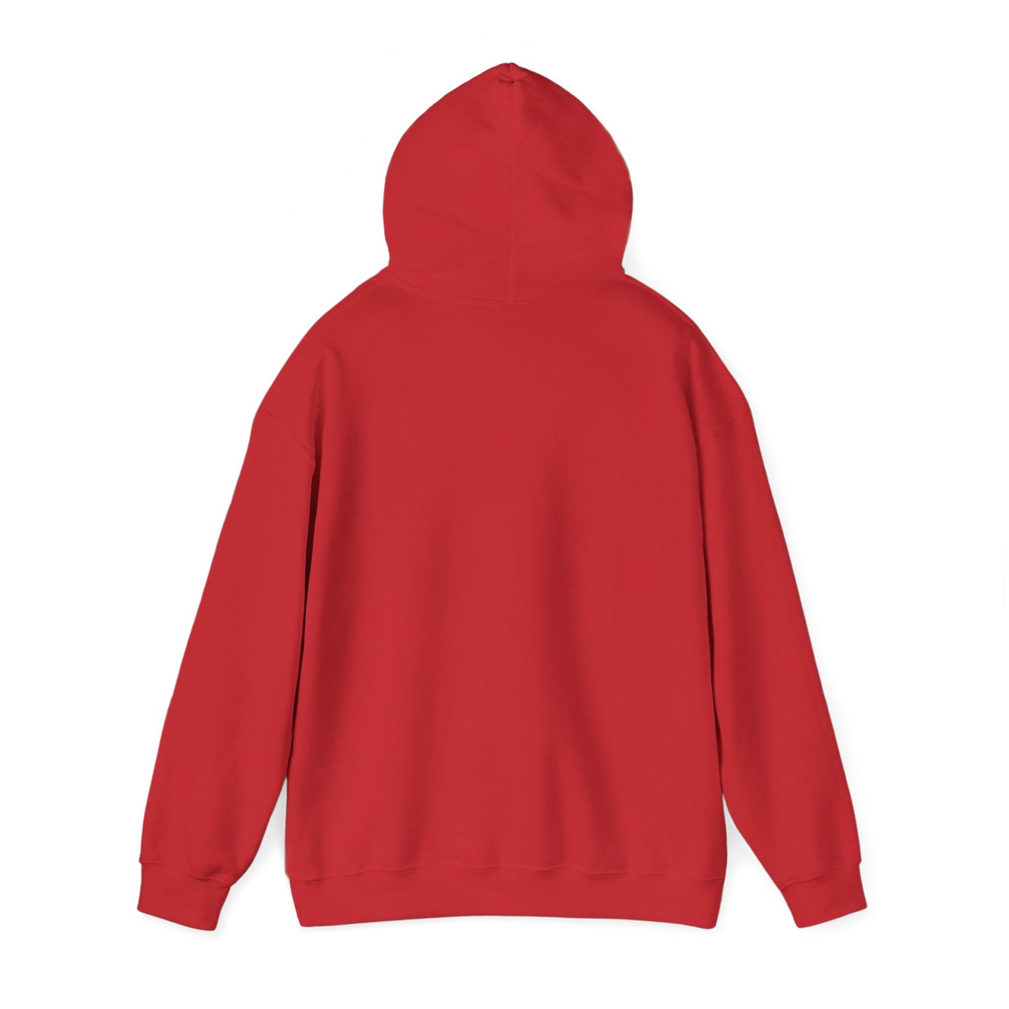 Funny "Shhh No One Cares" Hoodie, Sarcastic Gift for Teens and Adults, Unisex Sweatshirt, Long Sleeve Pullover
