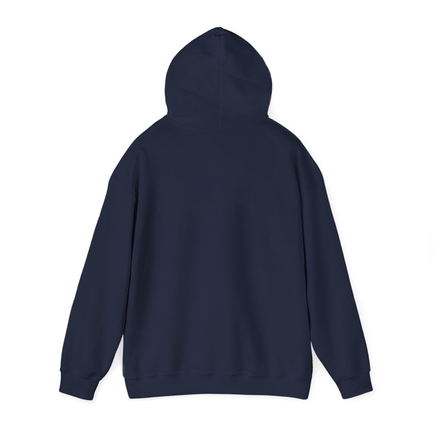 Funny "Shhh No One Cares" Hoodie, Sarcastic Gift for Teens and Adults, Unisex Sweatshirt, Long Sleeve Pullover