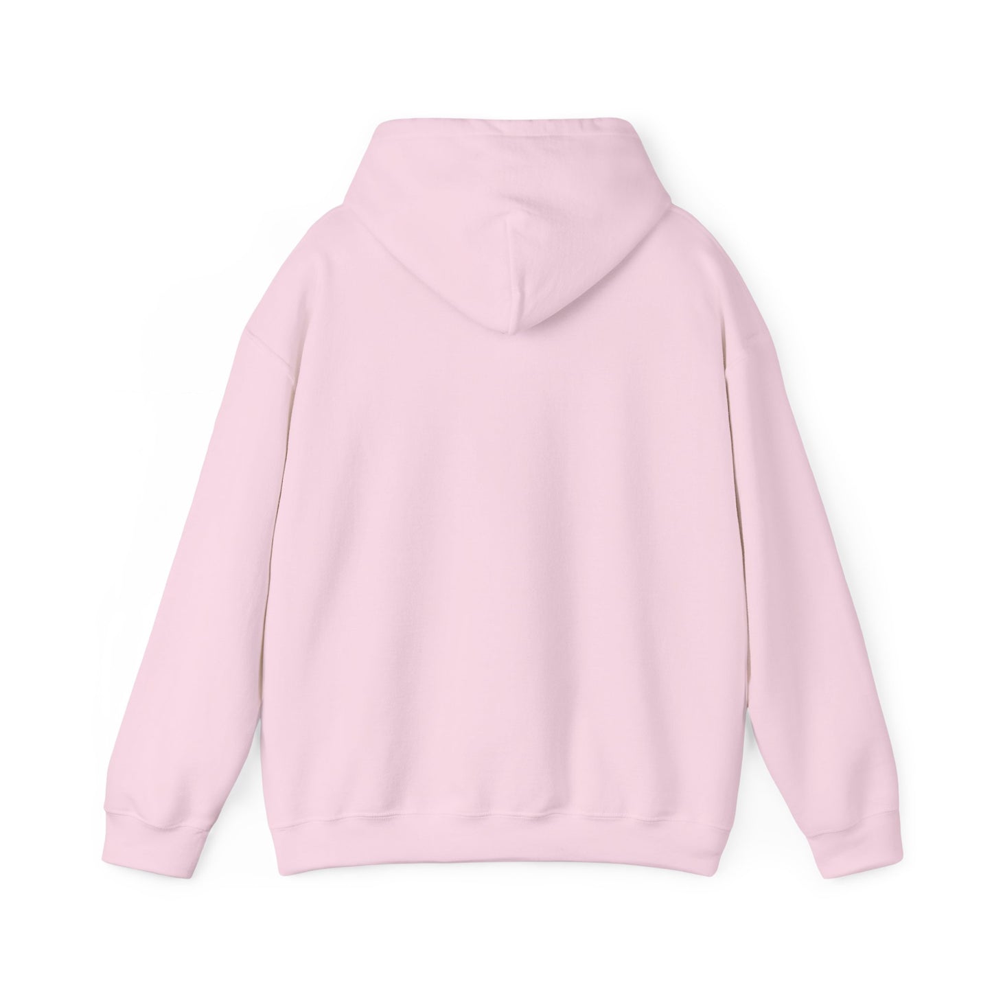 Funny "Shhh No One Cares" Hoodie, Sarcastic Gift for Teens and Adults, Unisex Sweatshirt, Long Sleeve Pullover