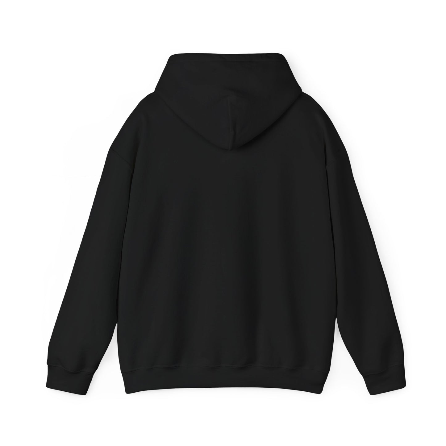 Funny "Shhh No One Cares" Hoodie, Sarcastic Gift for Teens and Adults, Unisex Sweatshirt, Long Sleeve Pullover