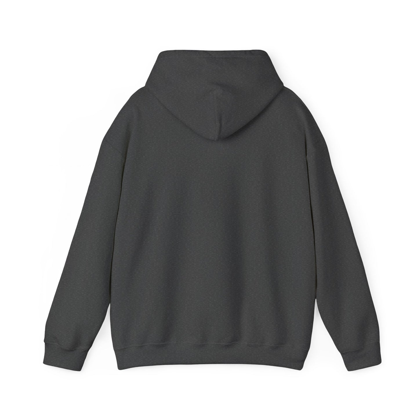 Funny "Shhh No One Cares" Hoodie, Sarcastic Gift for Teens and Adults, Unisex Sweatshirt, Long Sleeve Pullover