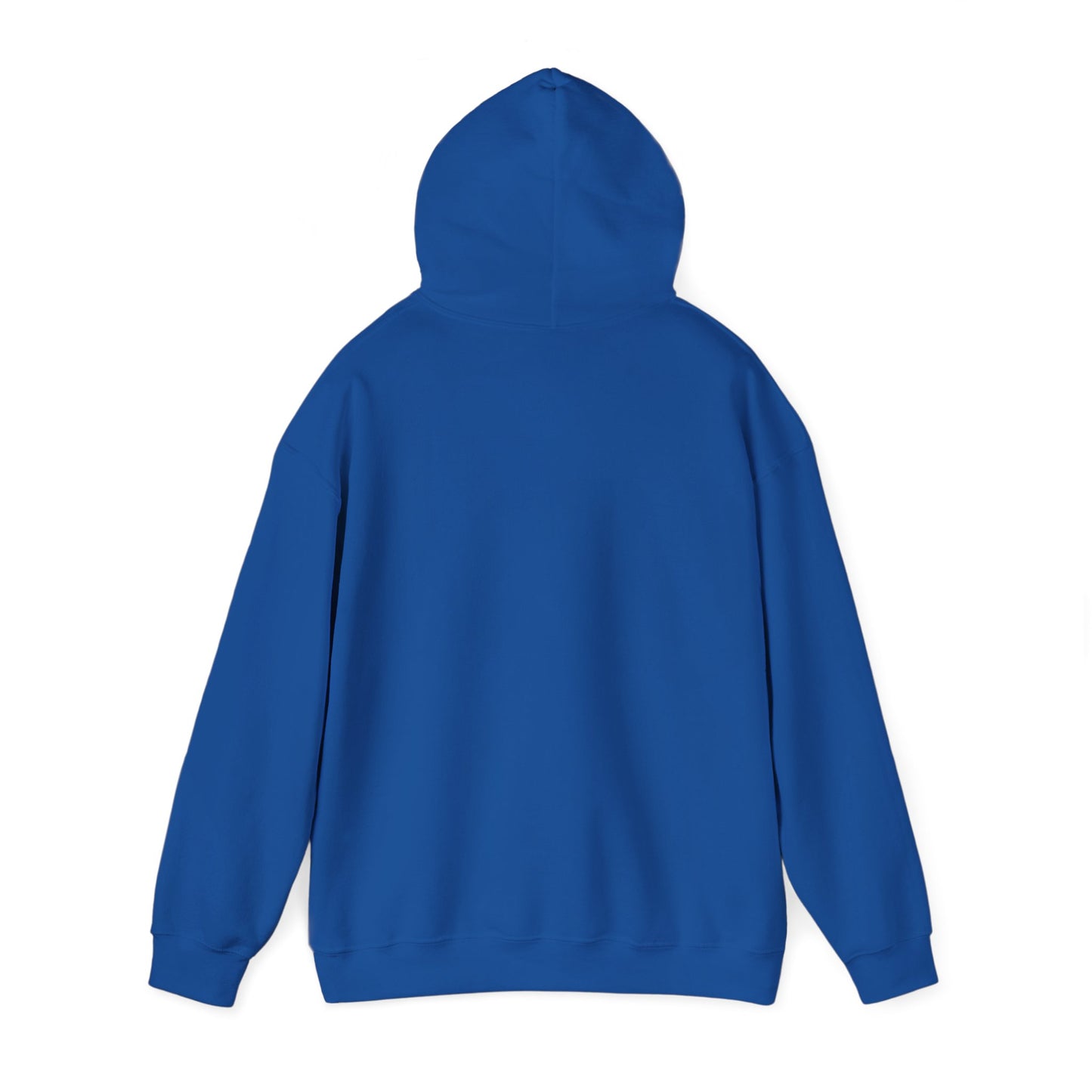 Funny "Shhh No One Cares" Hoodie, Sarcastic Gift for Teens and Adults, Unisex Sweatshirt, Long Sleeve Pullover