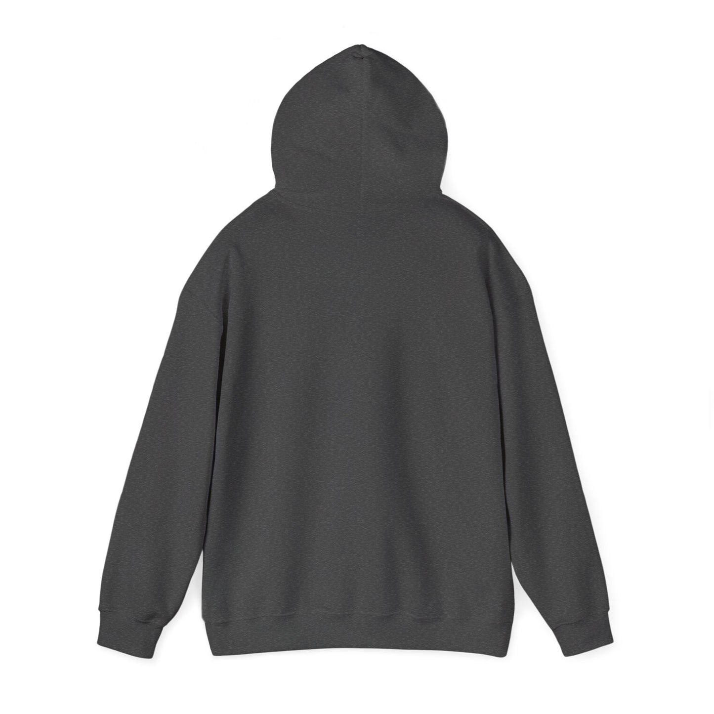 Funny "Shhh No One Cares" Hoodie, Sarcastic Gift for Teens and Adults, Unisex Sweatshirt, Long Sleeve Pullover