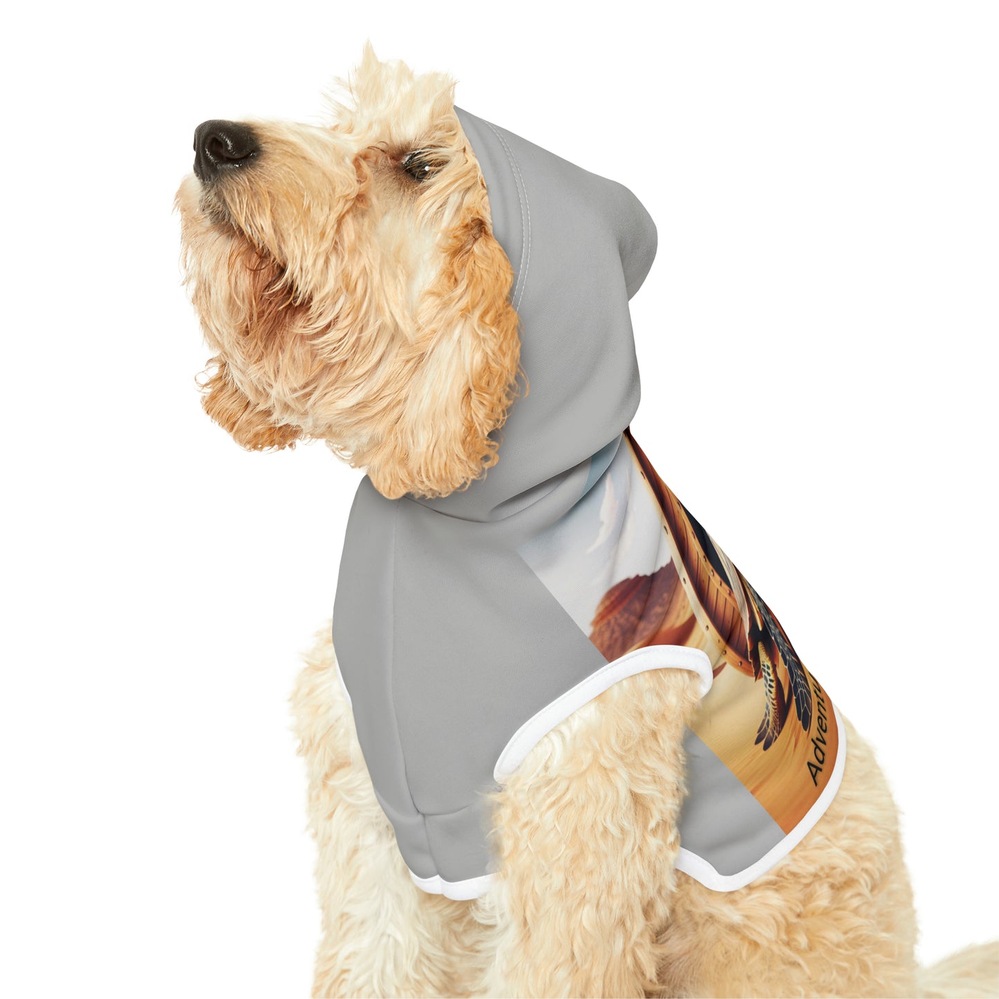 Pet Hoodie