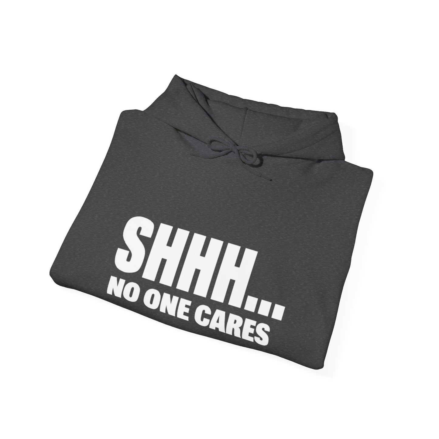 Funny "Shhh No One Cares" Hoodie, Sarcastic Gift for Teens and Adults, Unisex Sweatshirt, Long Sleeve Pullover