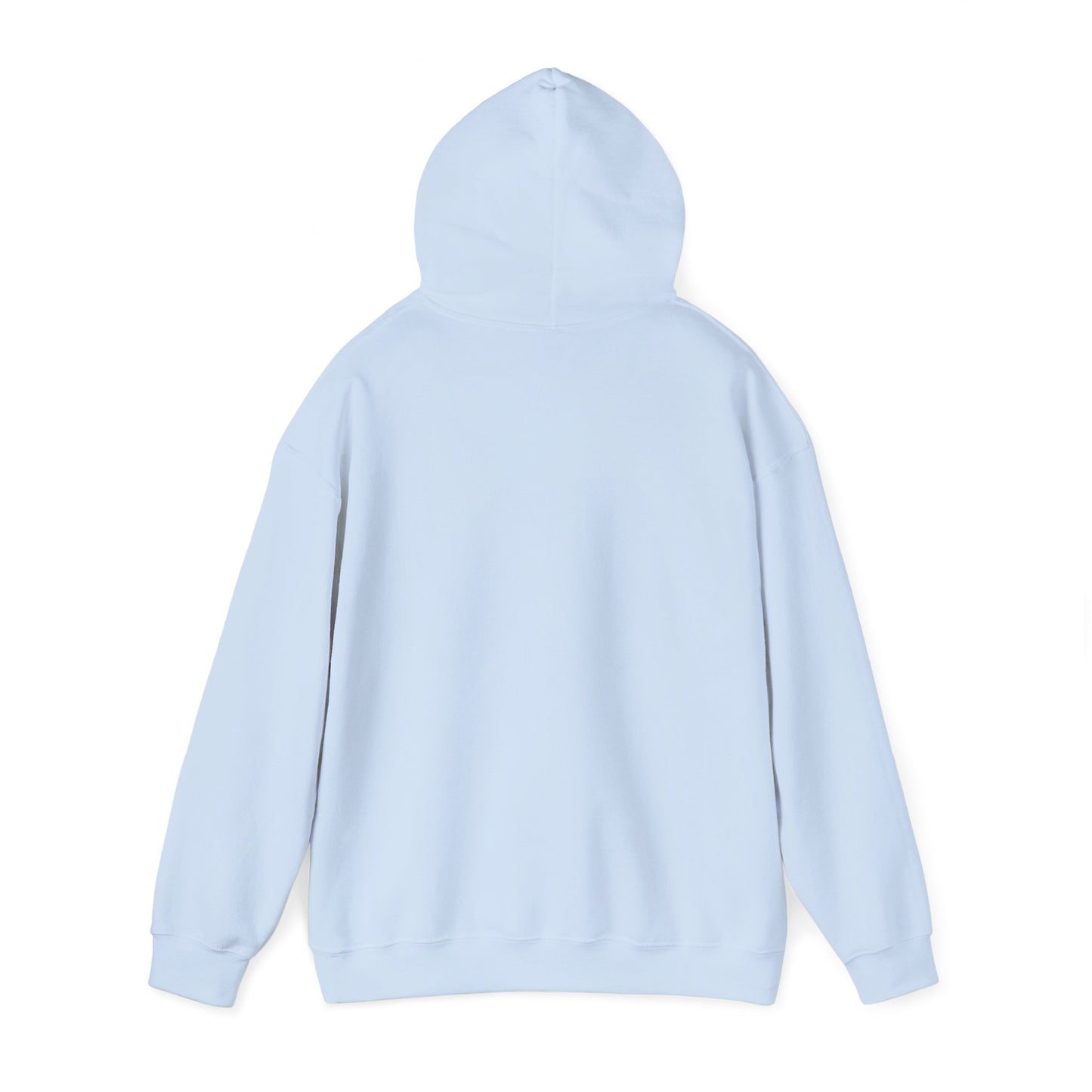 Funny "Shhh No One Cares" Hoodie, Sarcastic Gift for Teens and Adults, Unisex Sweatshirt, Long Sleeve Pullover