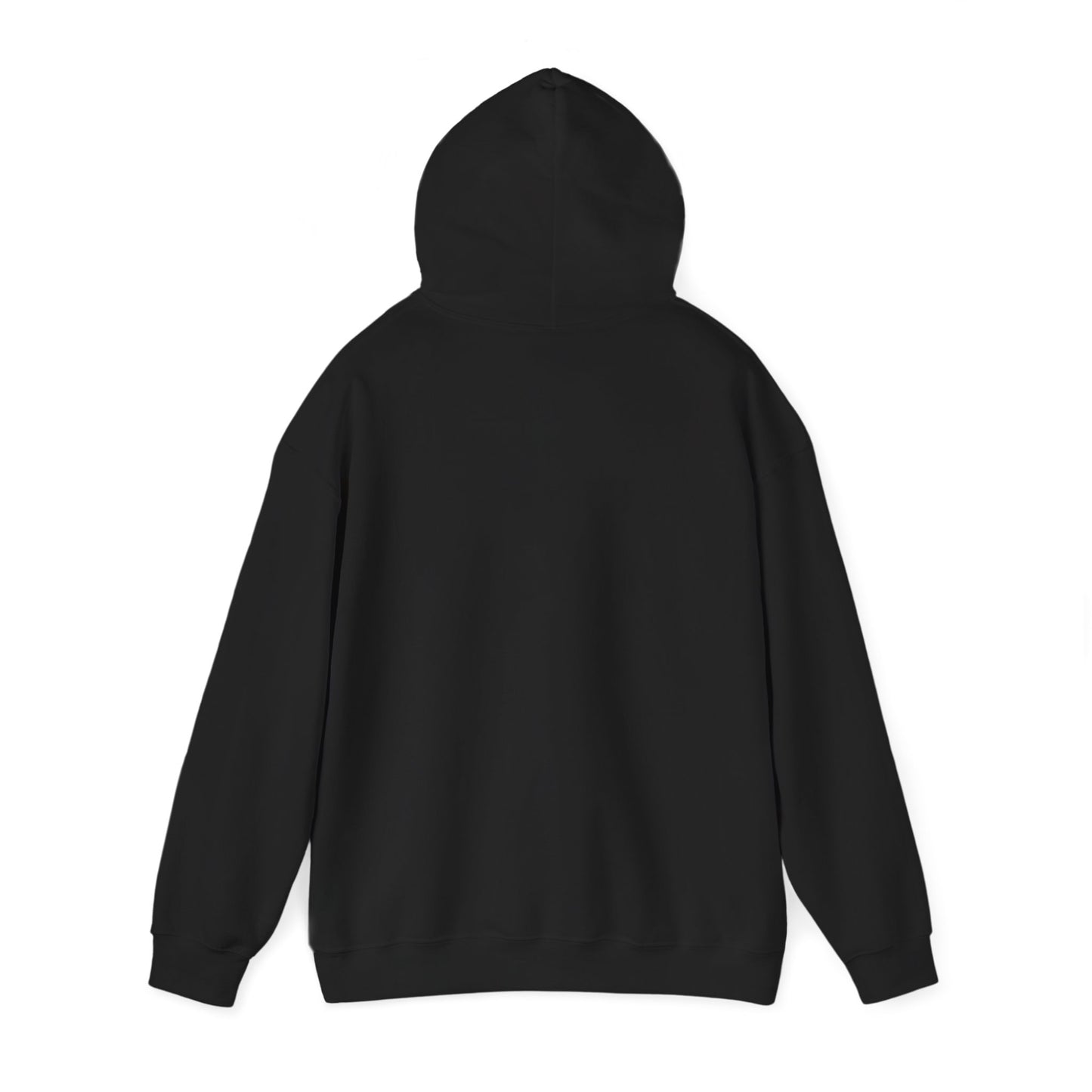 Funny "Shhh No One Cares" Hoodie, Sarcastic Gift for Teens and Adults, Unisex Sweatshirt, Long Sleeve Pullover