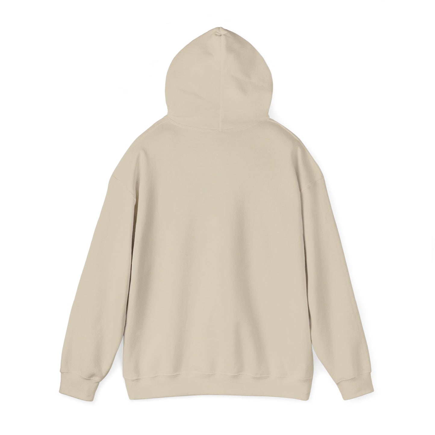 Funny "Shhh No One Cares" Hoodie, Sarcastic Gift for Teens and Adults, Unisex Sweatshirt, Long Sleeve Pullover