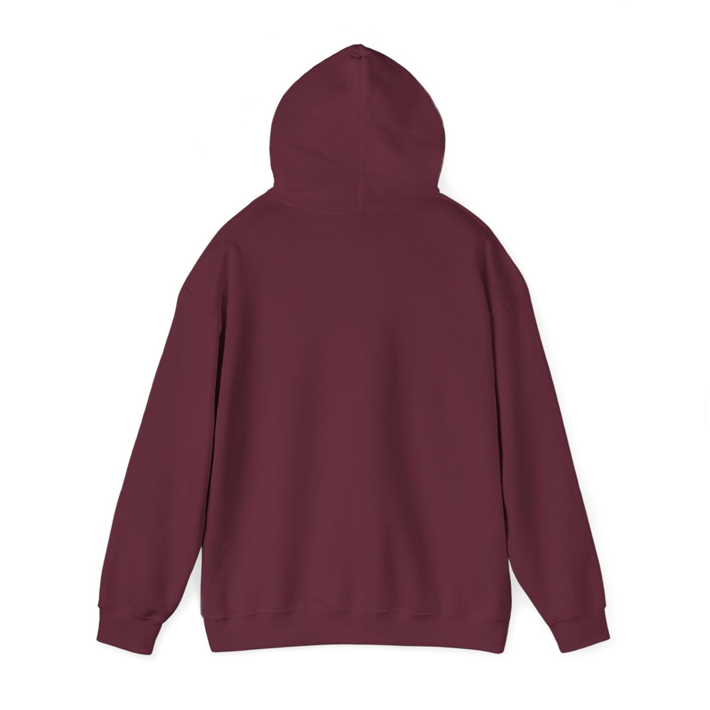 Funny "Shhh No One Cares" Hoodie, Sarcastic Gift for Teens and Adults, Unisex Sweatshirt, Long Sleeve Pullover