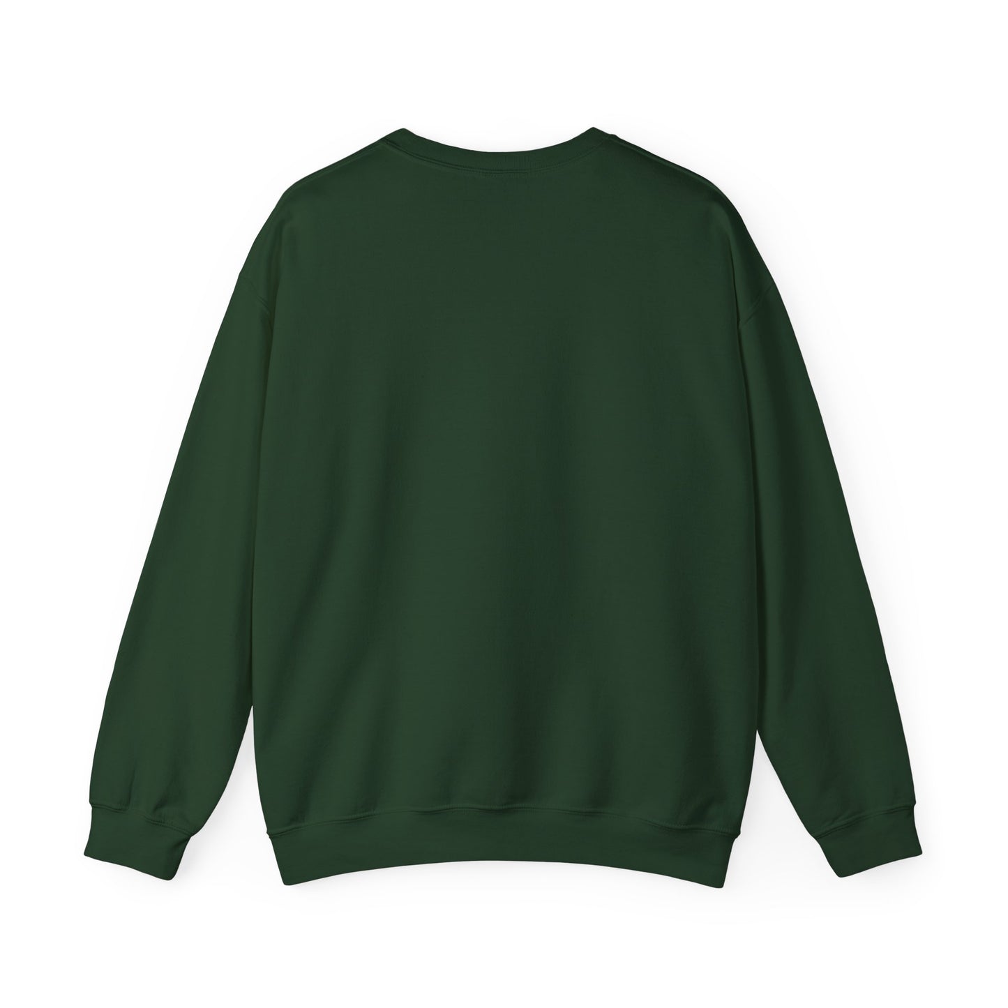 Christmas Crew sweatshirt Matching Family Christmas Shirts Holiday Lights Graphic Tee Cute Xmas Shirt for Women Festive Holiday Party top