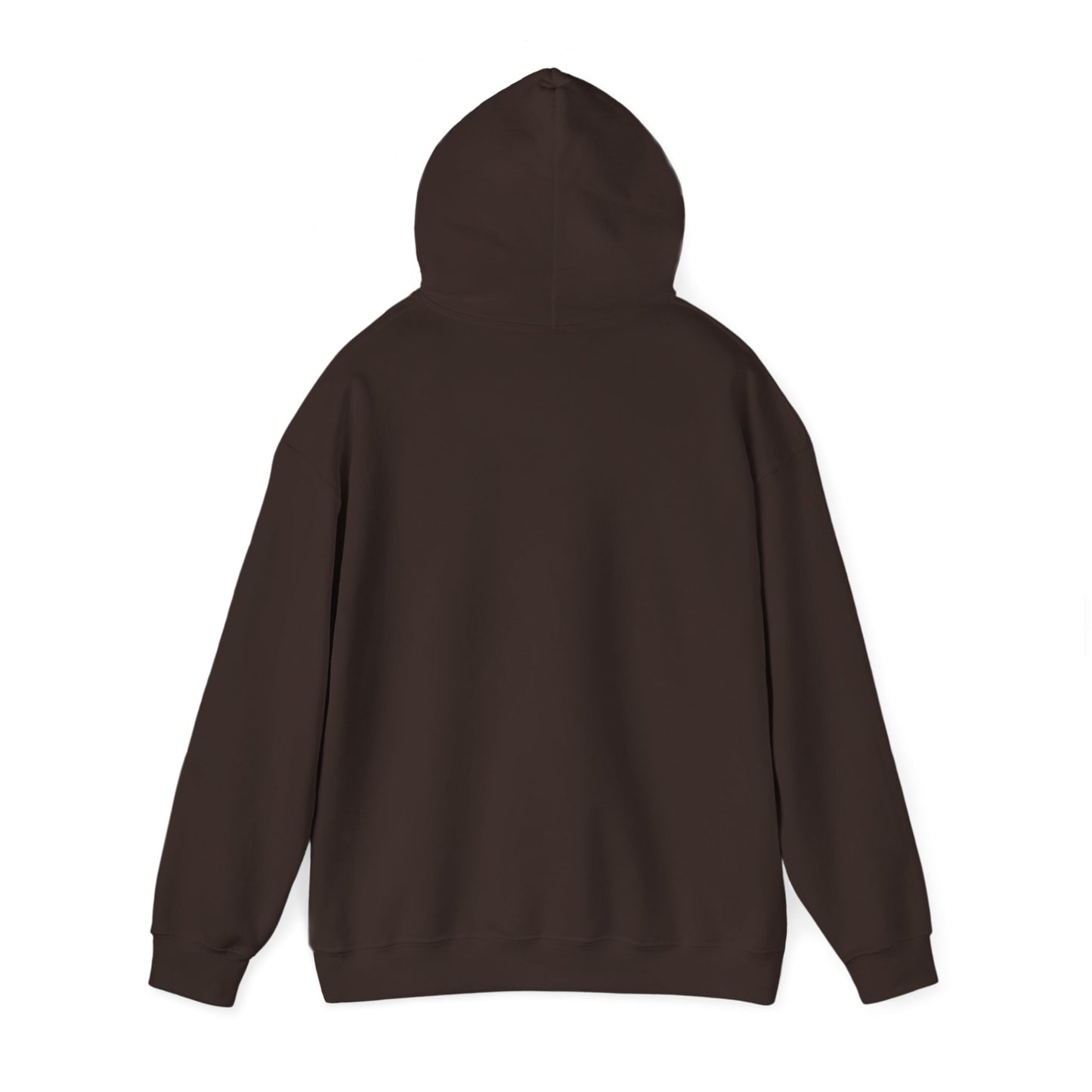 Funny "Shhh No One Cares" Hoodie, Sarcastic Gift for Teens and Adults, Unisex Sweatshirt, Long Sleeve Pullover