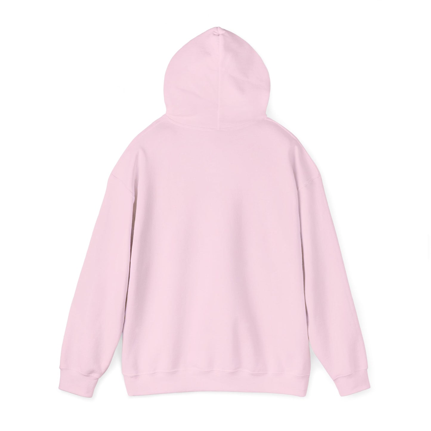 Funny "Shhh No One Cares" Hoodie, Sarcastic Gift for Teens and Adults, Unisex Sweatshirt, Long Sleeve Pullover