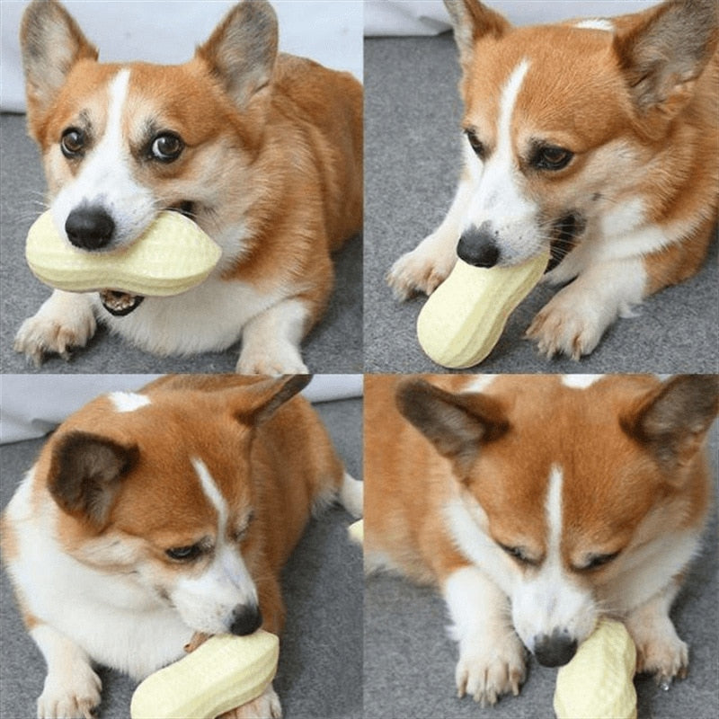 Pet Chew Toys Pet TPR Set Interactive Playing Funny Molar Peanut Shape Dog Squeaky Sound Puppy Molar Bite Cleaning Teeth