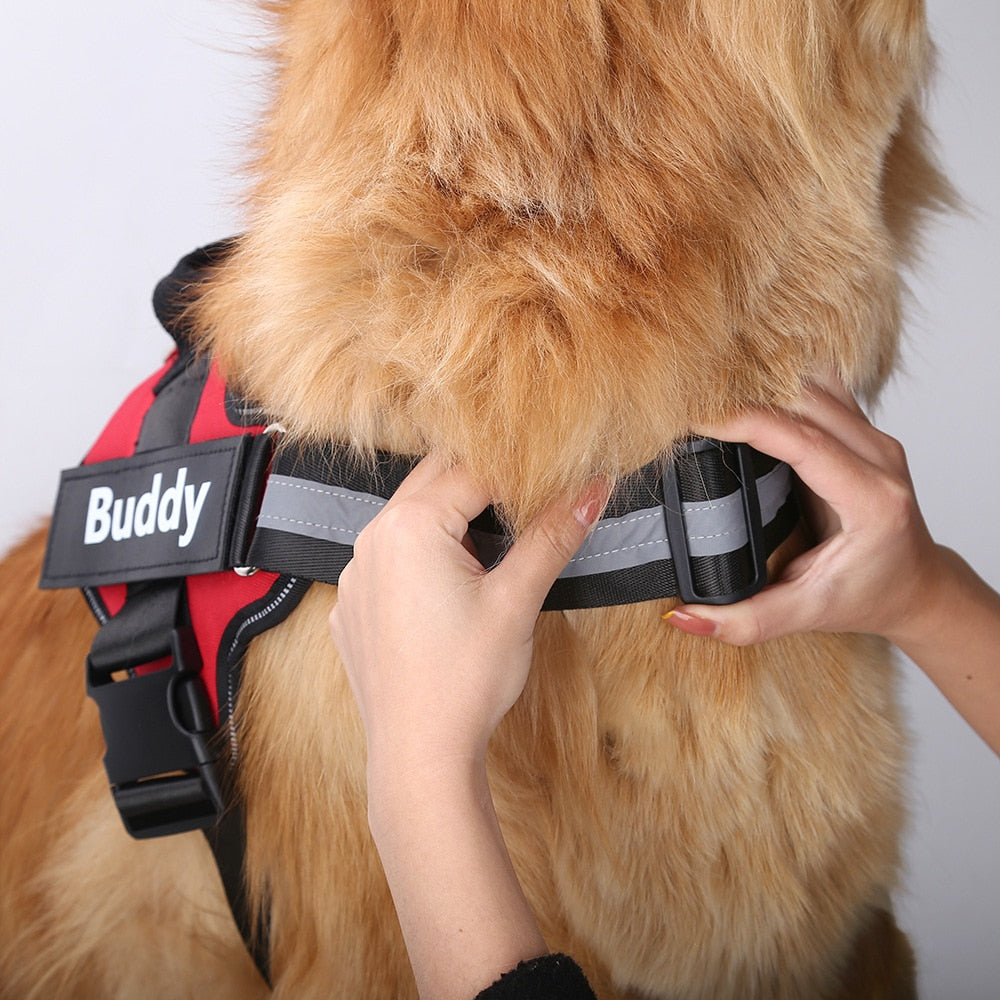 New 2023 Dog Vest Harness For Walking Swimming Reflective Breathable Pet Vests Flexible Dog Training Vest Outdoor Accessories