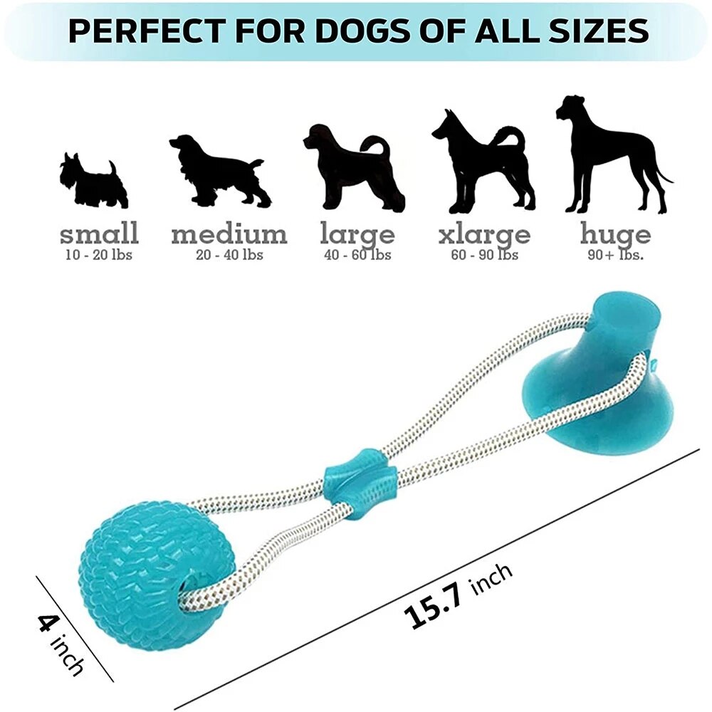 Pet Molar Bite Dog Suction Cup Toys TPR Rubber Chew Ball Cleaning Teeth Safe Elasticity Soft Puppy Biting Toys Pet Products