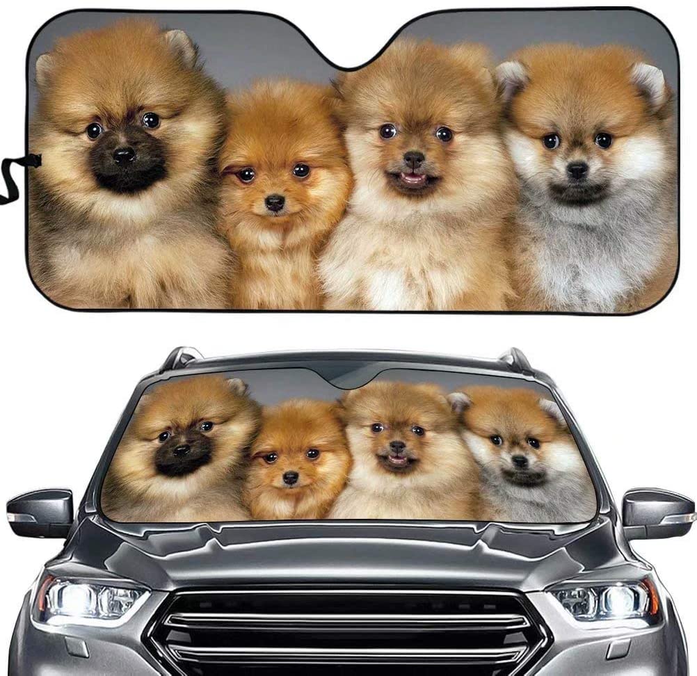 Pug Car Sun Shade, Pug Windshield, Dogs Family Sunshade, Dogs Car Accessories, Car Decoration, Pug Lovers Car Sun Shade, Gift Fo