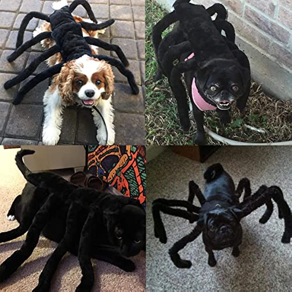 Halloween Spider Costume for Dog Cat Halloween Pet Costume Party Supply Spider Cosplay Costumes for Small Medium Dogs and Cats