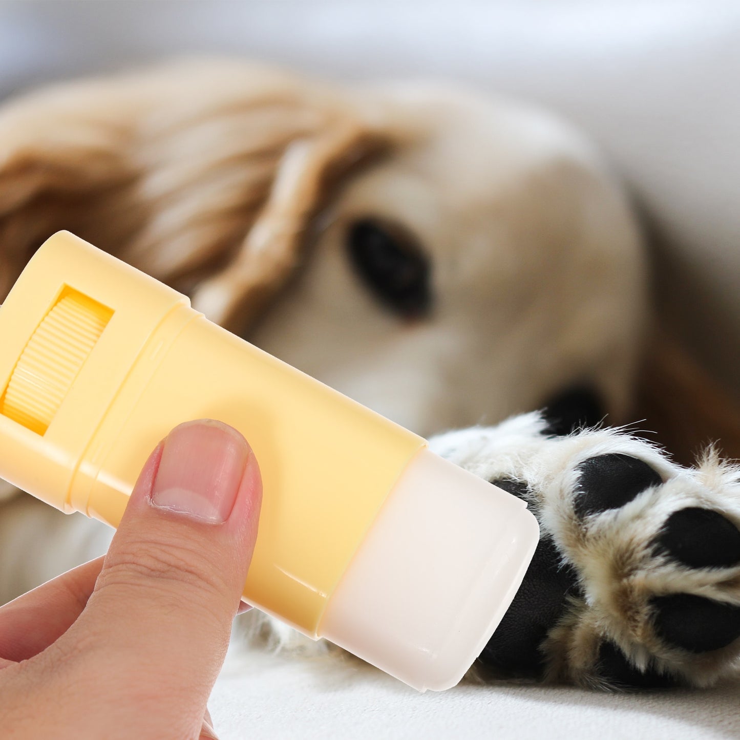 Pet Paw Balm Dog Foot Moisturizer Cat Dog Caring Supplies Household Care Winter Paws Cream Pet Grooming Tool Cat Accessories