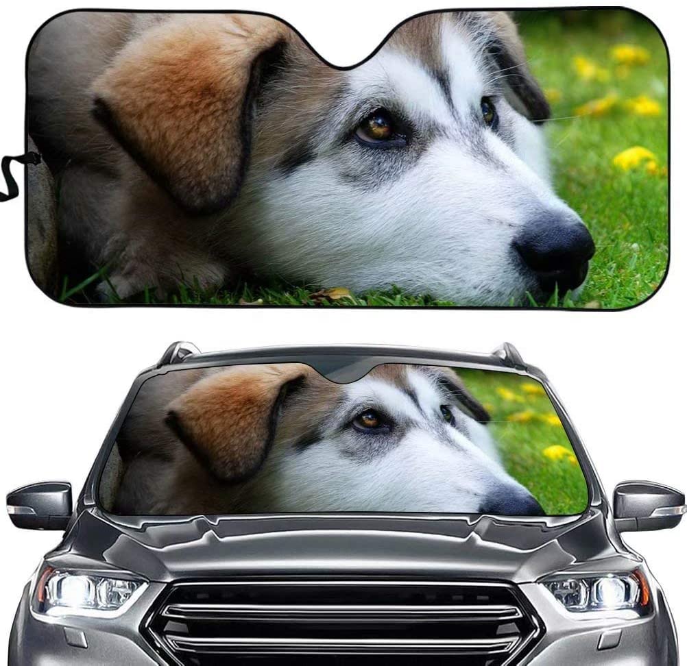 dog breed  Car SunShade, Dog Car Sun Shade, Car Accessories PHT212107A70STYLE FOR CAR