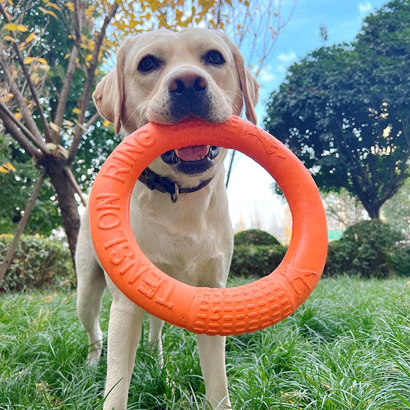Mini Dog Toys Training Ring Puller Puppy Flying Disk Chewing Toy Outdoor Interactive Toys For Dogs Game Playing Toys For The Dog