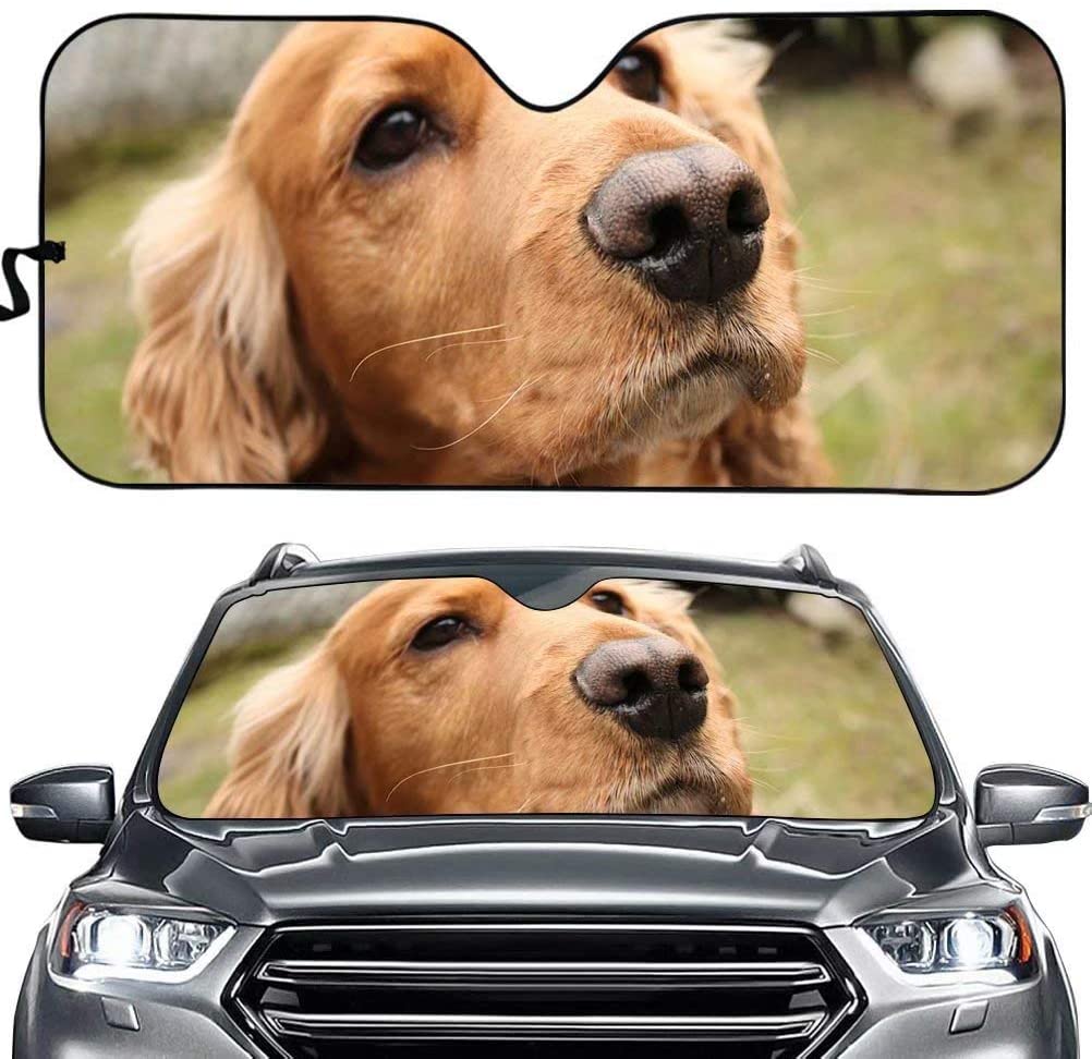 dog breed  Car SunShade, Dog Car Sun Shade, Car Accessories PHT212107A70STYLE FOR CAR