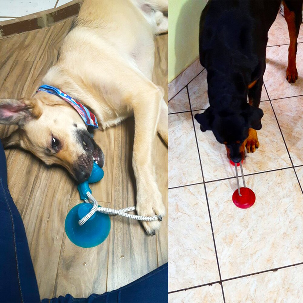 Pet Molar Bite Dog Suction Cup Toys TPR Rubber Chew Ball Cleaning Teeth Safe Elasticity Soft Puppy Biting Toys Pet Products