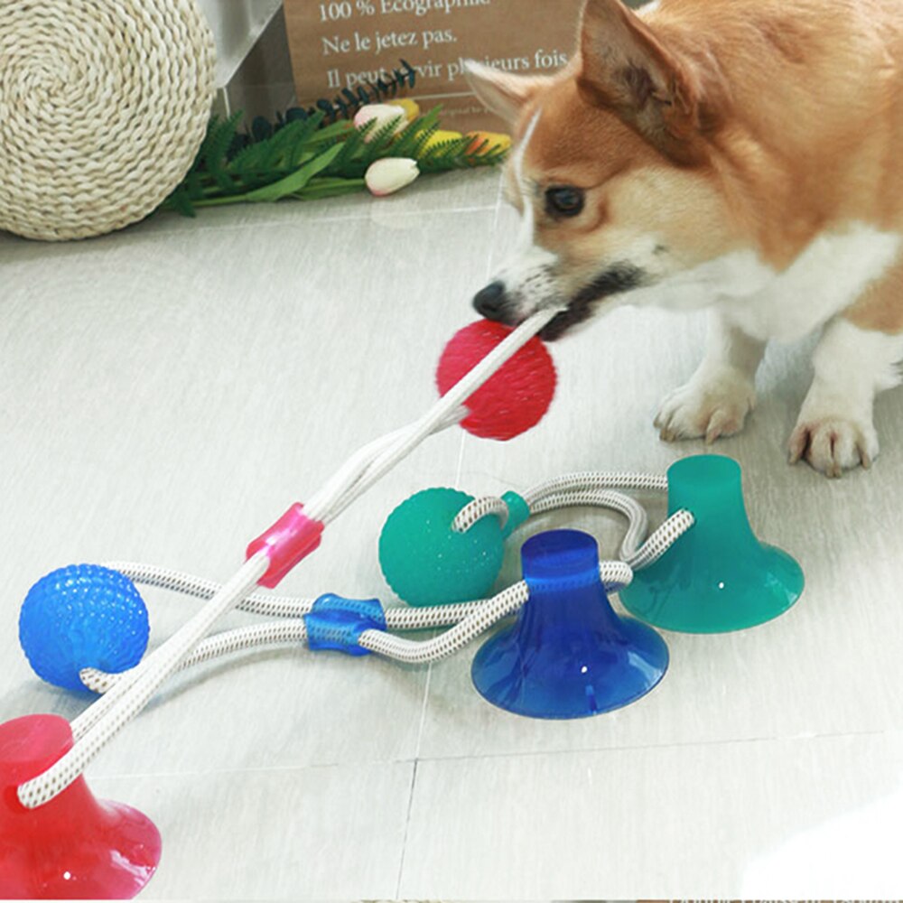 Pet Molar Bite Dog Suction Cup Toys TPR Rubber Chew Ball Cleaning Teeth Safe Elasticity Soft Puppy Biting Toys Pet Products