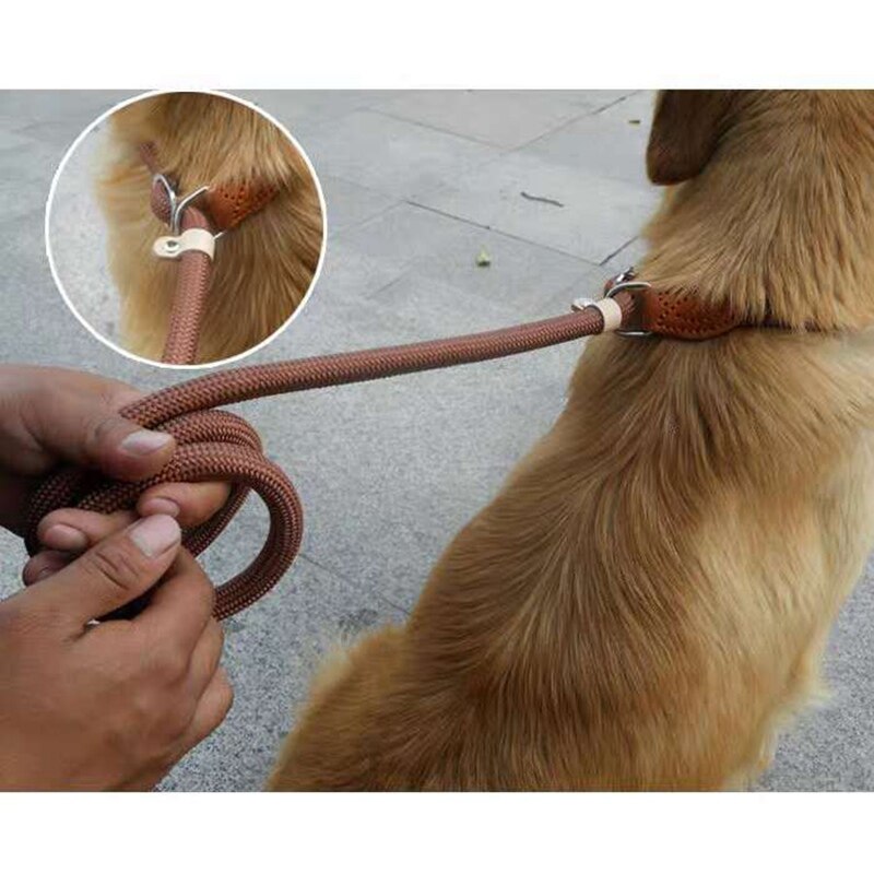 Variety Dog Leash Running Walk Train Dog Lead Leash for Small Medium Large Dogs Dog Supplies Walking Training Pet Products 140cm