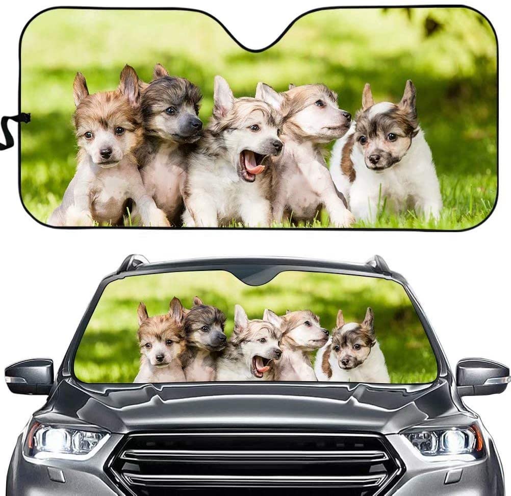 dog breed  Car SunShade, Dog Car Sun Shade, Car Accessories PHT212107A70STYLE FOR CAR