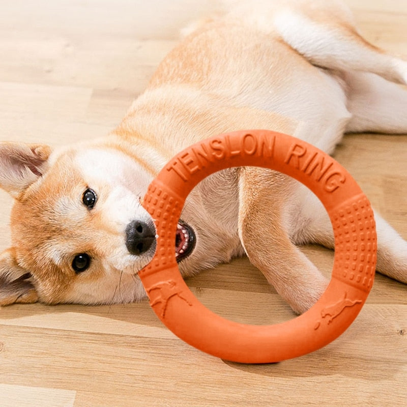 Mini Dog Toys Training Ring Puller Puppy Flying Disk Chewing Toy Outdoor Interactive Toys For Dogs Game Playing Toys For The Dog