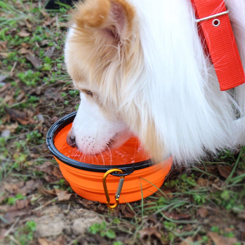 Collapsible Dog Pet Folding Silicone Bowl Outdoor Travel Portable Puppy Food Container Feeder Dish Bowl