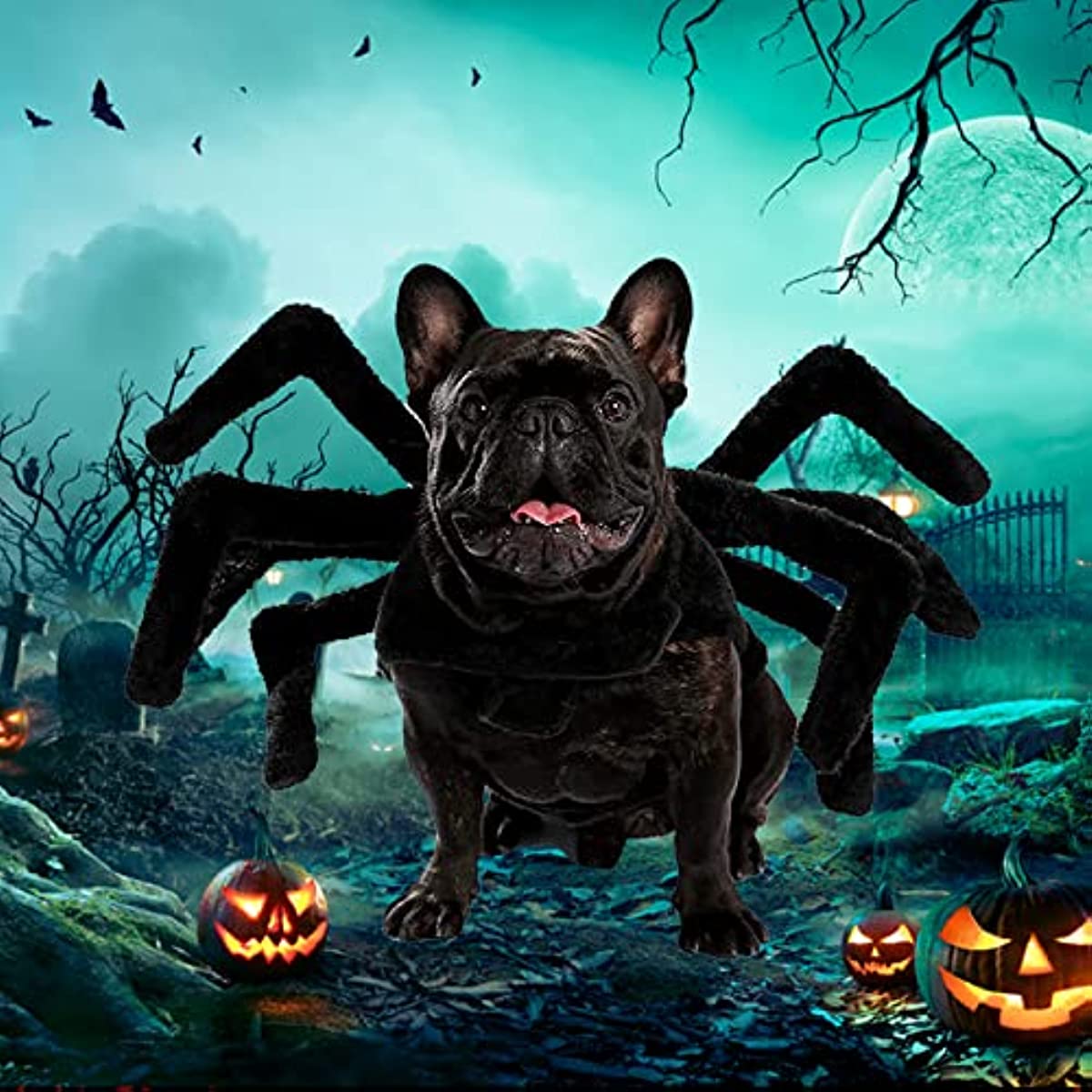 Halloween Spider Costume for Dog Cat Halloween Pet Costume Party Supply Spider Cosplay Costumes for Small Medium Dogs and Cats