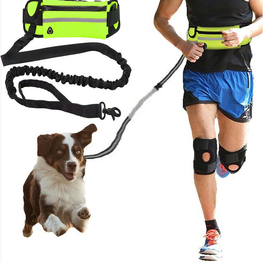 Hands-Free Running Dog Leash Nylon Pet Products Dogs Harness Collar Jogging Lead Adjustable Waist Leashes Traction Belt Rope