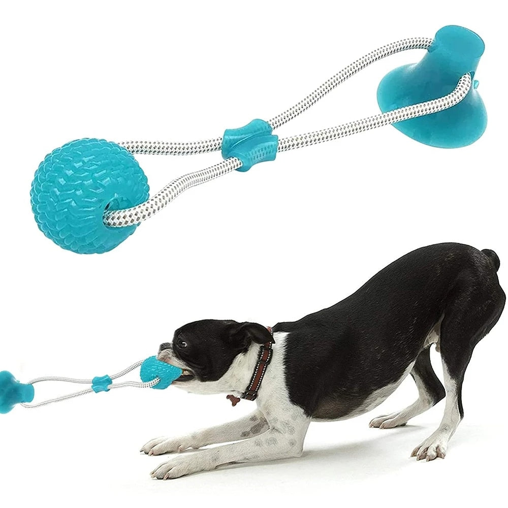 Pet Molar Bite Dog Suction Cup Toys TPR Rubber Chew Ball Cleaning Teeth Safe Elasticity Soft Puppy Biting Toys Pet Products